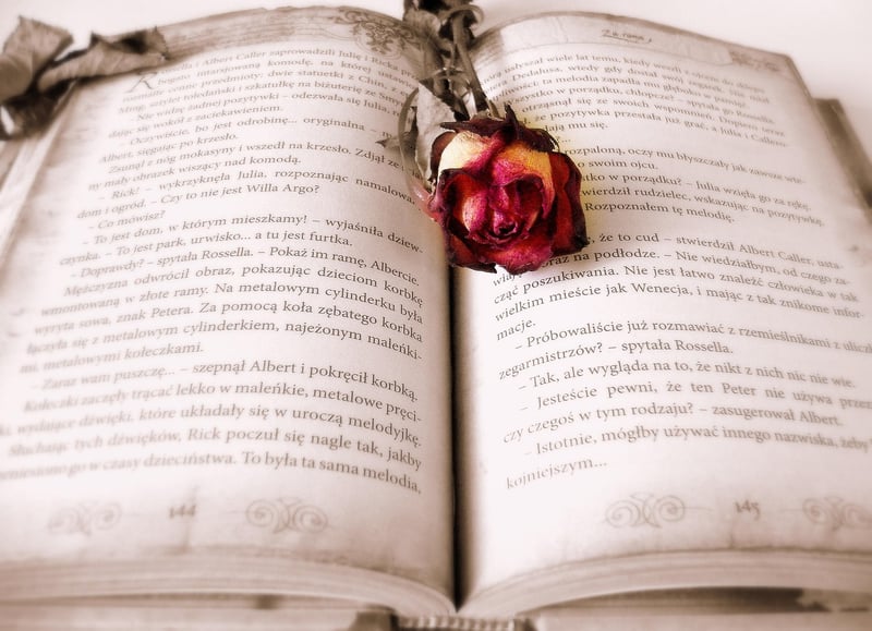 Mystery Books